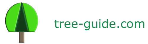 tree guide