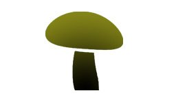 fungi list